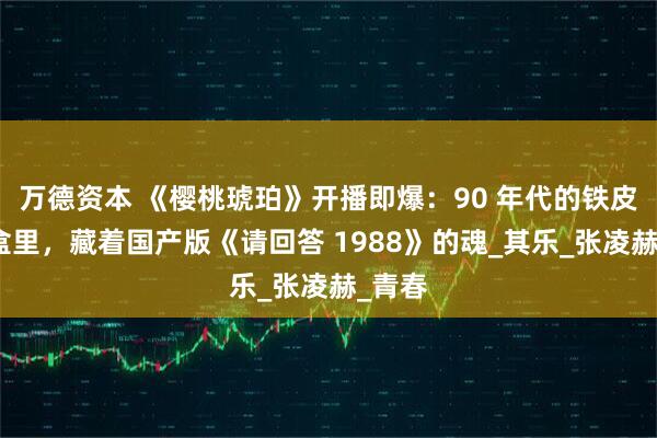 万德资本 《樱桃琥珀》开播即爆：90 年代的铁皮铅笔盒里，藏着国产版《请回答 1988》的魂_其乐_张凌赫_青春
