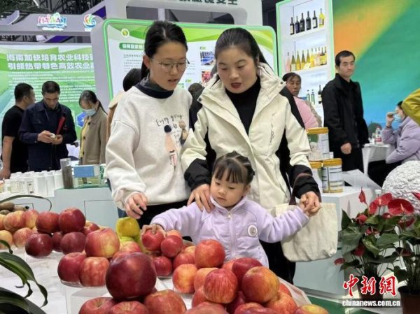 鼎茂策略 杨凌农高会聚焦乡村振兴 以论坛智慧赋能乡村实践