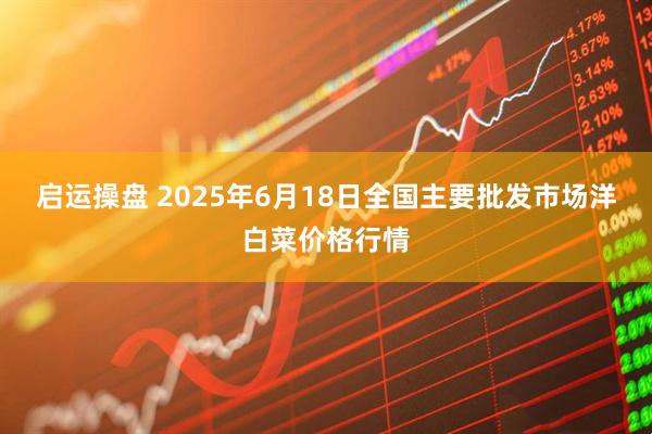 启运操盘 2025年6月18日全国主要批发市场洋白菜价格行情