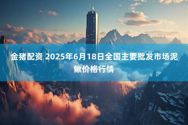 金猪配资 2025年6月18日全国主要批发市场泥鳅价格行情